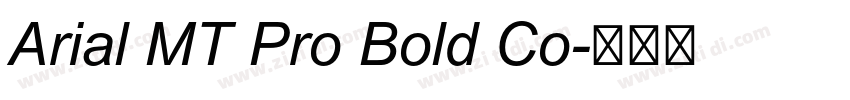 Arial MT Pro Bold Co字体转换